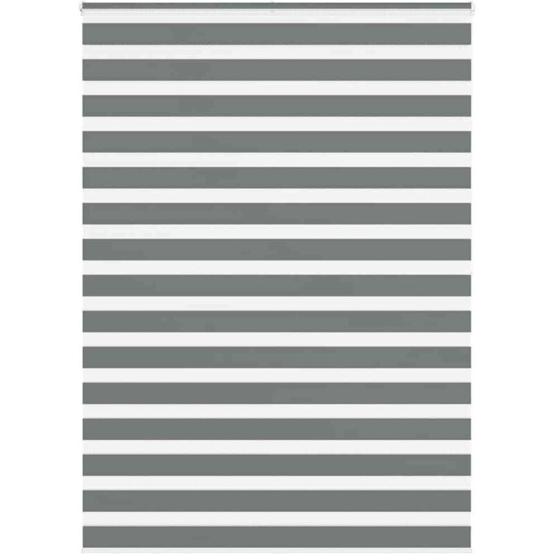 Zebrarollo Dunkelgrau 160x200 Cm Stoffbreite 155, 9 Cm Polyester Vidaxl