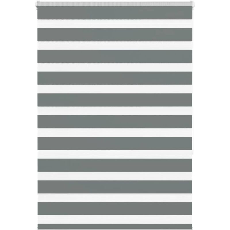 Zebrarollo Dunkelgrau 115x150 Cm Stoffbreite 110, 9 Cm Polyester Vidaxl