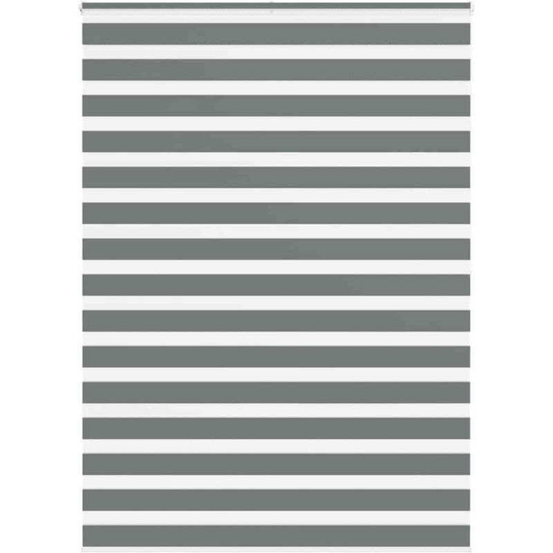 Zebrarollo Dunkelgrau 165x200 Cm Stoffbreite 160, 9 Cm Polyester Vidaxl