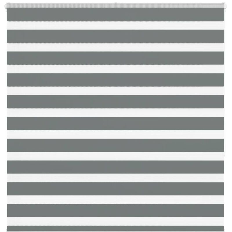 Zebrarollo Dunkelgrau 150x150 Cm Stoffbreite 145, 9 Cm Polyester Vidaxl