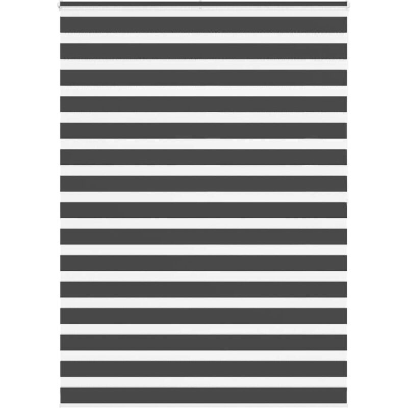 Zebrarollo Schwarz 160x200 Cm Stoffbreite 155, 9 Cm Polyester Vidaxl