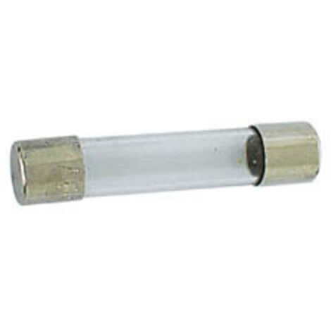 Zeitverzögerte Sicherung 6,35 x 32mm 0,1a (10 Stk./Karton)