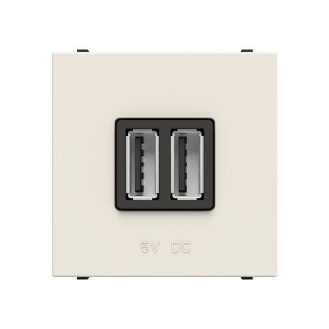 Zenit Prise De Recharge Usb 2 Modules-Blanc 2CLA228500N1101 ABB N2285BL