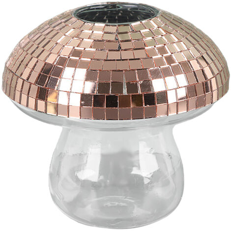 Zenith 1L Transparente Laternenvase - Moderne Dekoration für Hydrokulturpflanzen