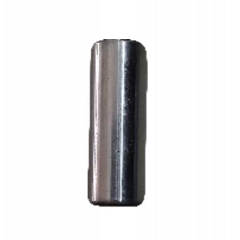 Zenthril Pin de Connexion Tige-Pivot – Acier Trempé Haute Résistance  Montage Précis  Pour Zenthril Surge, Pulse, Vortex, Quantum  Accessoire pour Pistolet à Peinture