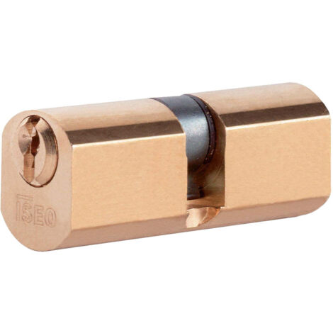 ZENTRALER ZYLINDER ISEO 54 MM MESSING-SCHLAGKÖRPER MIT 5 STIFTEN ZUR VERRIEGELUNG FÜR BAND A.8400/27/27/7