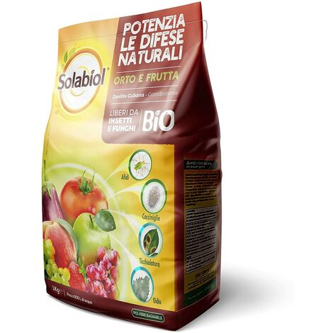 Zeolite Cubana Disponibile 250 gr - 1 Kg - size 250 gr