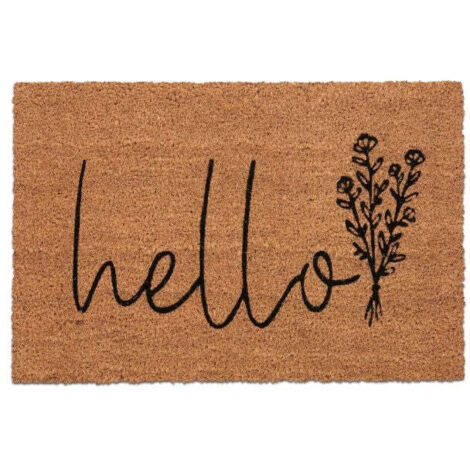 Zerbino hello in cocco