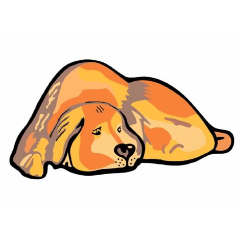 Zerbino My Dog