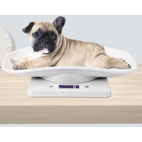 Zerodis Balance électronique 10kg / 1g petite échelle de poids numérique pour animaux de compagnie pour chats chiens outil de