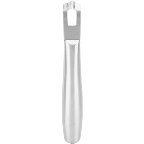 Zestenreibe aus Edelstahl für Zitrusfrüchte, multifunktionales Küchenutensil für Cocktails, silbernes Design