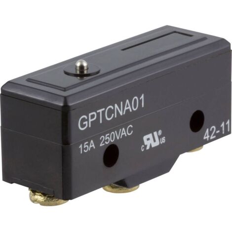 ZF GPTCNA01 Microrupteur GPTCNA01 250 V/AC 15 A 1 x On/(On) à rappel 1 pc(s) D73055