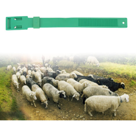 Ziegenkennzeichnungshalsbänder – 10 Stück aus PU, 36 cm, grün – Viehkennzeichnungsband