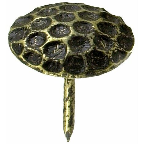 Ziernägel Ø 22,0 x 12,5 mm, 12 Stück Ziernägel