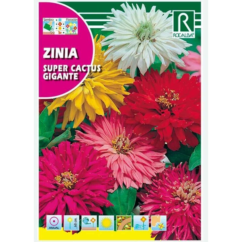 

Zinia Super Cactus Gigante Variada - Sobre De Semillas 6G