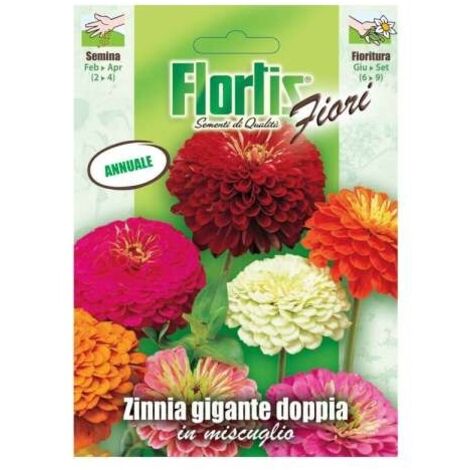 ZINNIA GIGANTE DOPPIA MIX