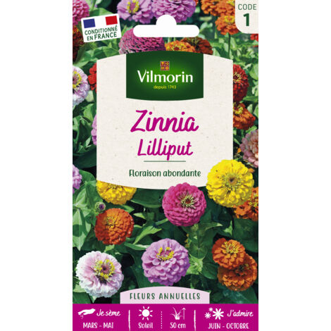 Zinnia Nain Lilliput Vilmorin