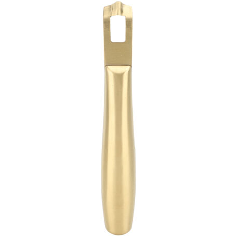 Zitronenreibe aus Edelstahl für Cocktails, goldfarbenes multifunktionales Küchenutensil