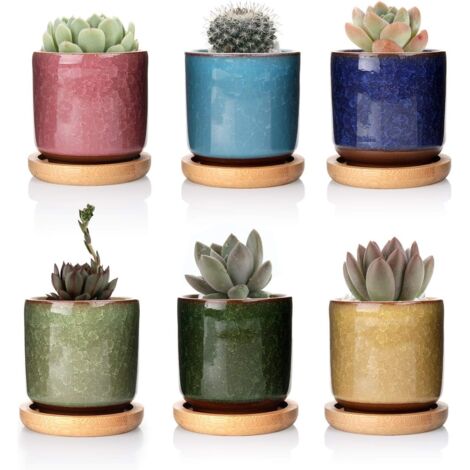 ZOLGINAH 6cm Pots de Plantes en Céramique Zisha avec Plateau en Bambou - Paquet de 6, Pot pour Succulent Cactus Fleurs Récipient Jardinière