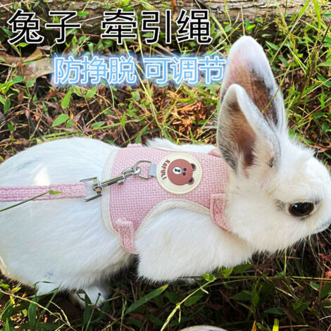 ZOLGINAH Harnais pour Lapins Cochons d'Inde Petits Animaux avec Laisse Élastique Gilet Souple pour Promenade (S, Bleu)