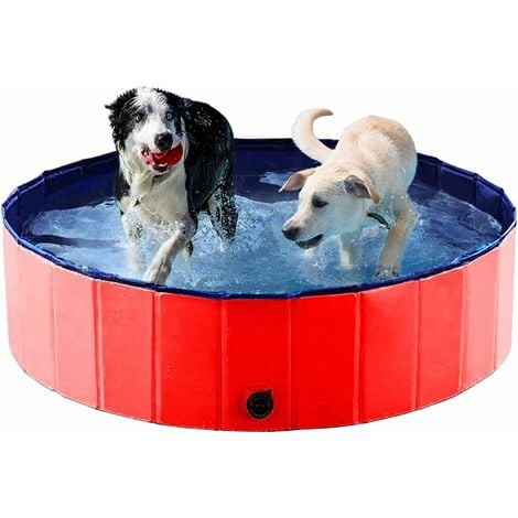 Piscina para perros, piscina plegable para mascotas, pequeña piscina  portátil de PVC para perros, bañera plegable de 24 x 8 pulgadas para perros  y