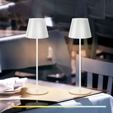 Lampada da tavolo led ricaricabile touch Cambia 3 Colore senza filo carica  usb da bar ristorante