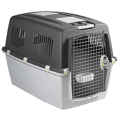 ZOLUX 422113 CESTINO UNISEX PER ADULTI, GRIGIO, GRANDE