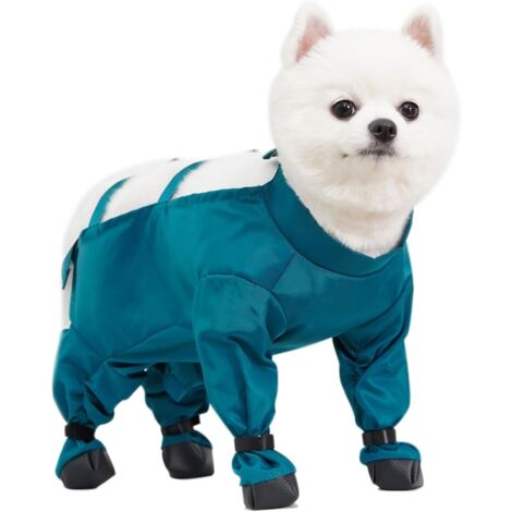 Zoom Accessoire pour pattes de chien