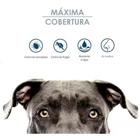 ZOTAL parasital collar repelente perros (peq-med) , Collar parasital repelente para perros pequeños y medianos Zotal Indicados especialmente para perros de compañía Alta ca