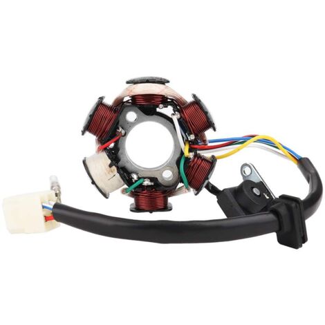 Zoternen Alternatore Tbest Quad 125, Alternatore 50cc, Bobina statore magnete generatore, Bobina statore magnete moto 6 bobine 5 fili Bobina statore di ricambio adatta per 50cc 70cc 90cc 110cc