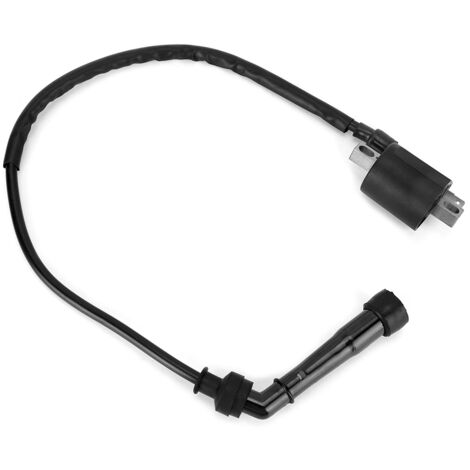 Zoternen Bobina di accensione per motore di motocicletta, adatta per Yamaha Rhino 660 2004-2007
