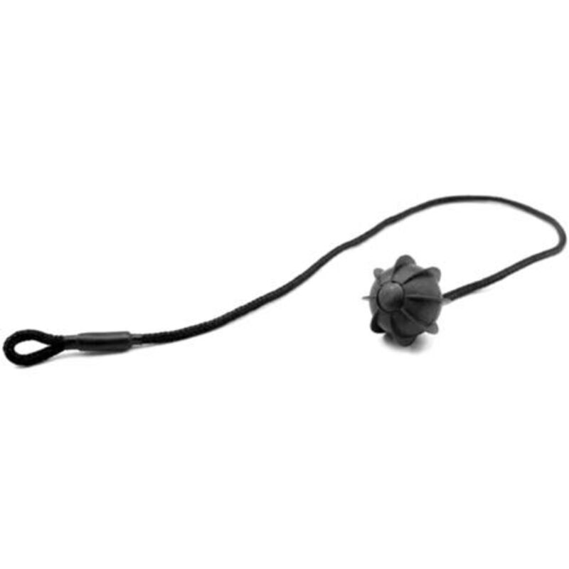 Zoternen - Intérieure arrière du colis arrière étagère de tonneau de couvercle de couvercle de la sangle de la sangle pour vw Black