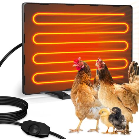 Zoternen Plaque chauffante pour animaux – Noir, idéale pour poulaillers, niches et couveuses