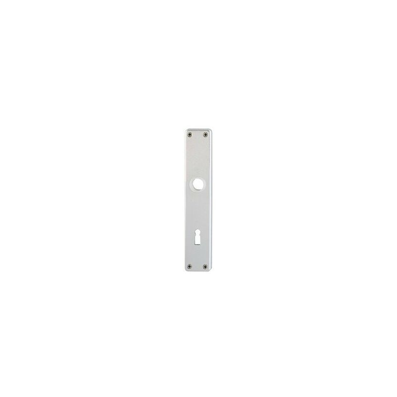 

Placa puerta 202Sp 0 / Bb/072/F4 (por 50)