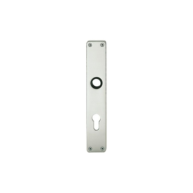 

Placa de puerta larga ,BB, 0 14 1407,cuadrado,Alu F1