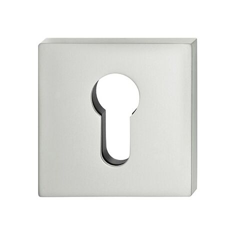 ZT-Rosace porte profil BB, 0 17 1704,carré,F69 matt
