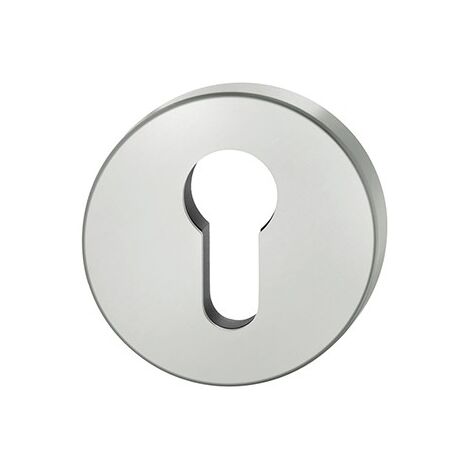 ZT-Rosace porte profil BB, 0 17 1735,rond ,F69 matt