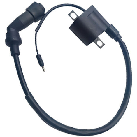 Zubehör für BJ150-31 Hochspannungszündspulen für Benelli Little Dragon Motorräder (langes Kabel im Lieferumfang enthalten).