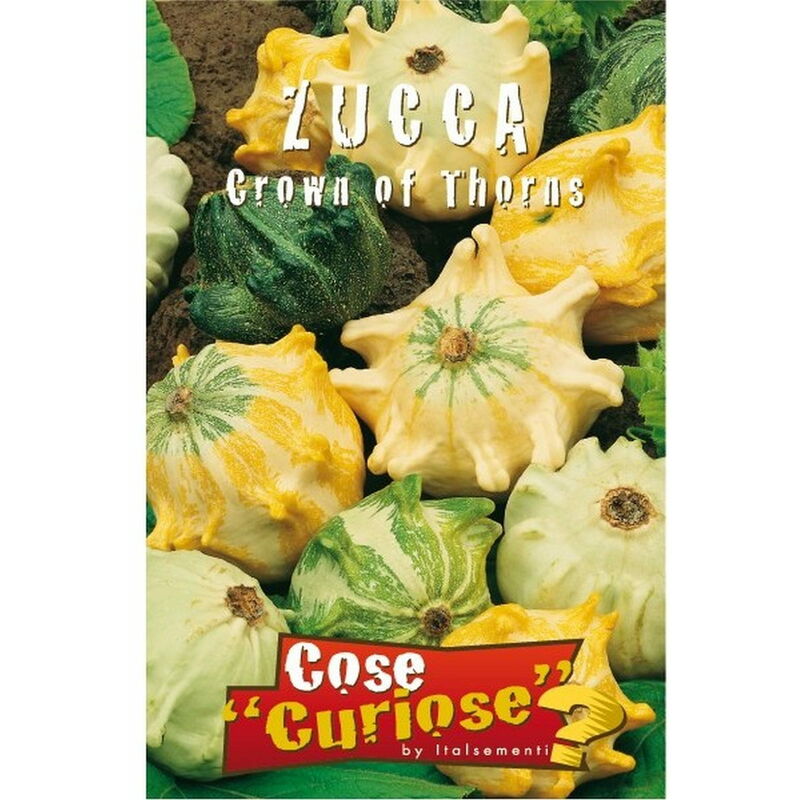 Zucca Sweet Dumpling (Semente)