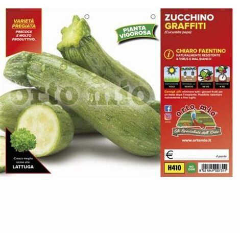 Zucchino Chiaro Faentino Graffiti ORTO MIO