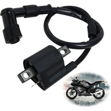 Zündspule für Roller, Zündspule für Geländemotorräder, Booster, Motorradzündspule für die meisten 125ccm, 150ccm und 250ccm ATVs, Roller und Mopeds
