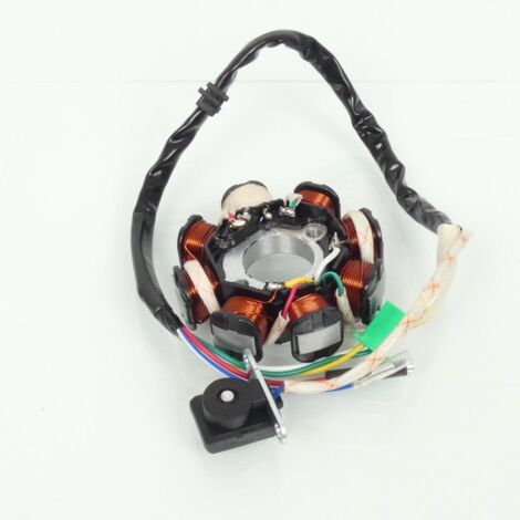 Zündstator P2R für chinesischen Roller 125 Gy6 4T 2006 bis 2020,