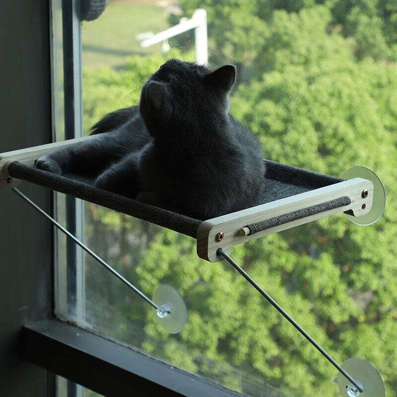 ZVD-Chaise Longue de Fenêtre pour Chat, Hamac pour Chat en Bois Massif, Chat de Rebord de Fenêtre Transparent, Facile à Monter, Capacité de Charge