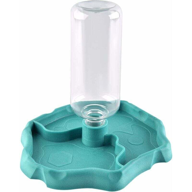 Distributeur d'eau pour Reptile, Distributeur 2 en 1 de Nourriture Anti Debordement Bol, Gamelle en Plastique pour Tortue Terrestre Gecko - Bleu - ZVD