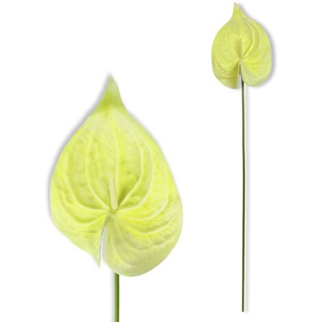 Zweig - Cremefarbene Schaumanthurie 57 cm