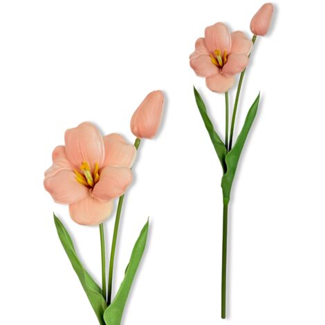 Zweig - Kaffeeschaum-Tulpe 53 cm