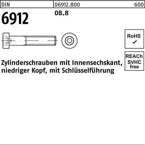 Zylinderschraube DIN 6912 m.Innensechskant M 24 x 130 8.8 10 Stück