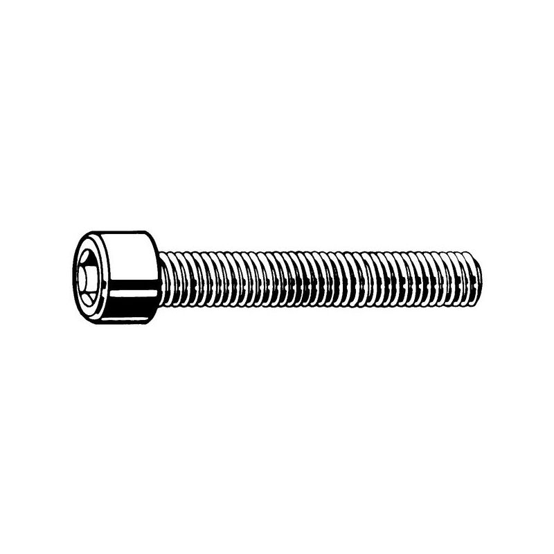 M16x60 Zylinderschrauben mit Innensechskant Edelstahl A2 DIN 912 x50