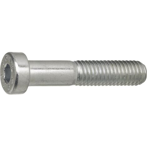 Zylinderschrauben M6x16 Zylinderbauschrauben mit Innensechskant und niedrigem Kopf ISK, Edelstahl A4-70