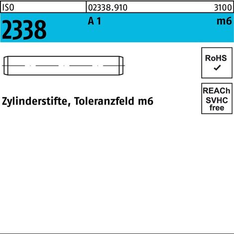 Zylinderstift ISO 2338 6 m6x 45 A 1 100 Stück